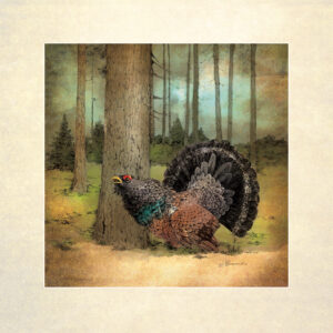 Aleksandra Michalska-Szwagierczak "Głuszec"