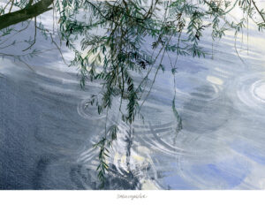 Ela Wasiuczyńska "Gałąź"