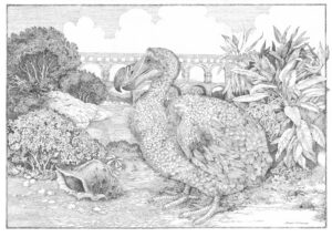 Aleksandra Michalska-Szwagierczak „Dodo”